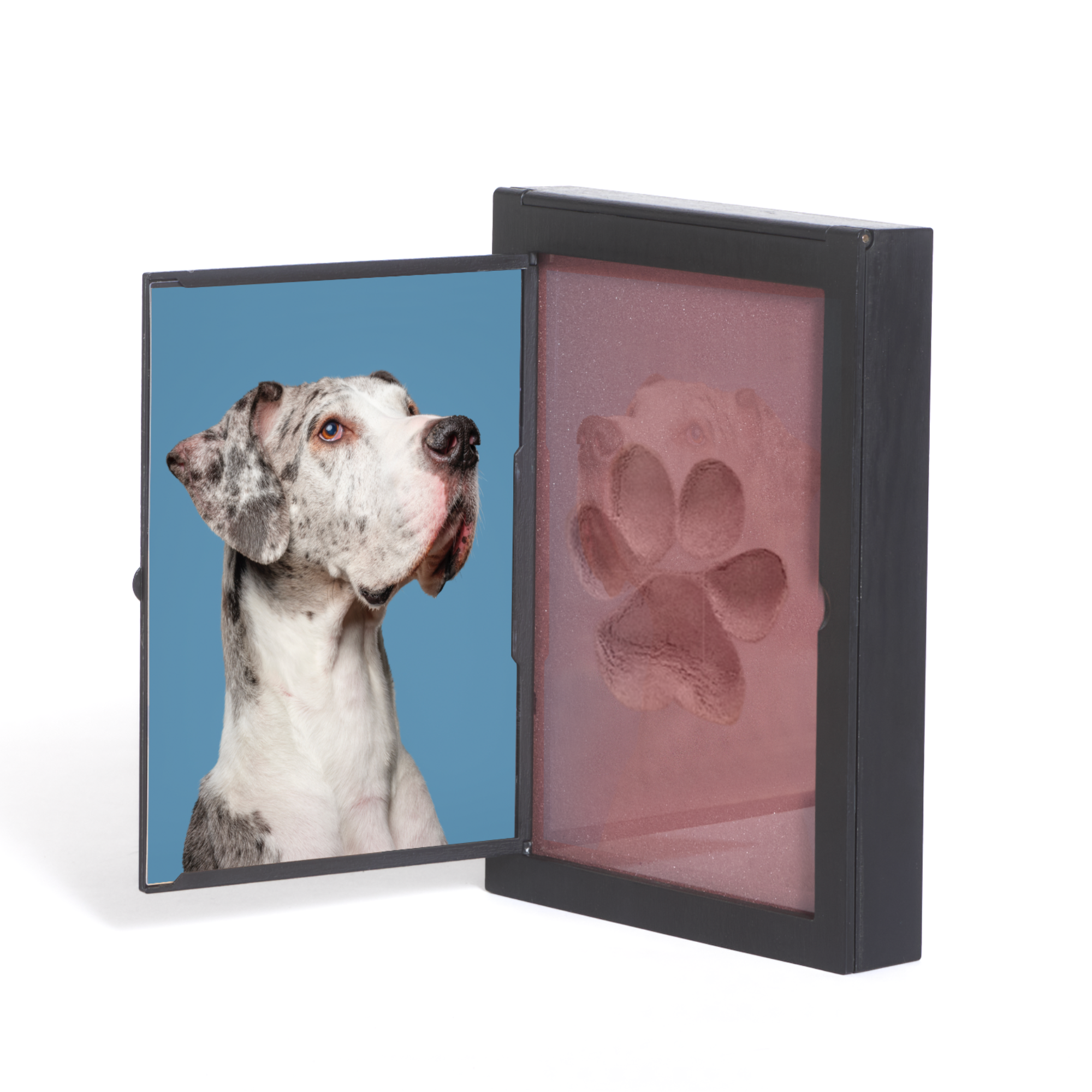 Large 72 Pack – PawPals