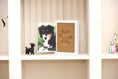 Load image into Gallery viewer, Memory Maker large 12 pack
